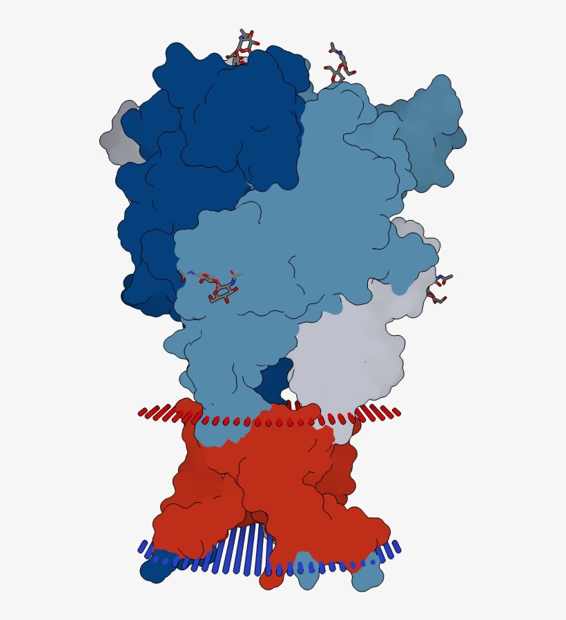 Transmembrane Flat Surface Display Opm - Illustration, transparent png #6407167