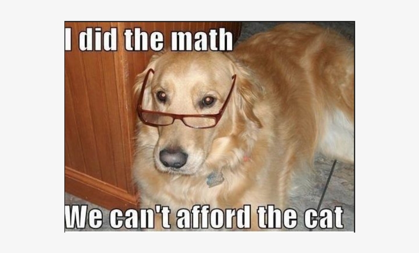 Yes, This Is Dog - We Cant Afford The Cat, transparent png #6408609