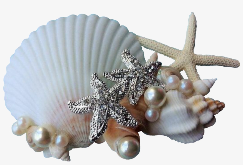 Report Abuse - Party, transparent png #6409096