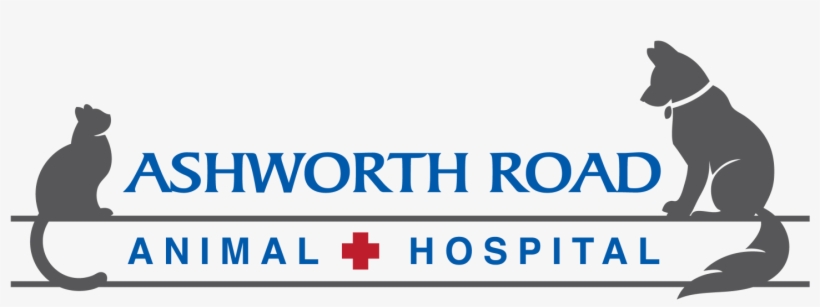 Ashworth Road Animal Hospital, transparent png #6411512