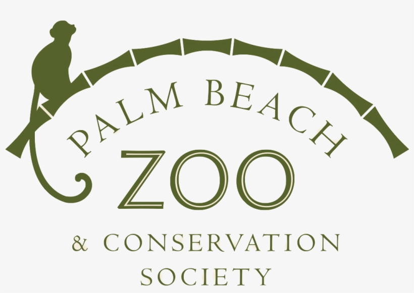 Palm Beach Zoo & Conservation Society, transparent png #6412033
