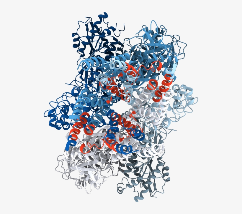 Transmembrane Regions Opm - Illustration, transparent png #6415425