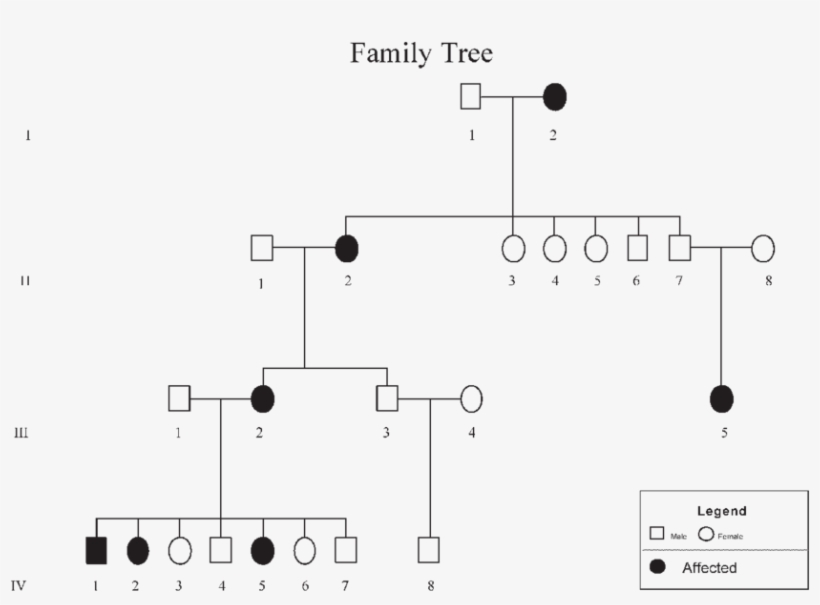 Family Tree 3 Generations - Family Tree Generations, transparent png #6416582