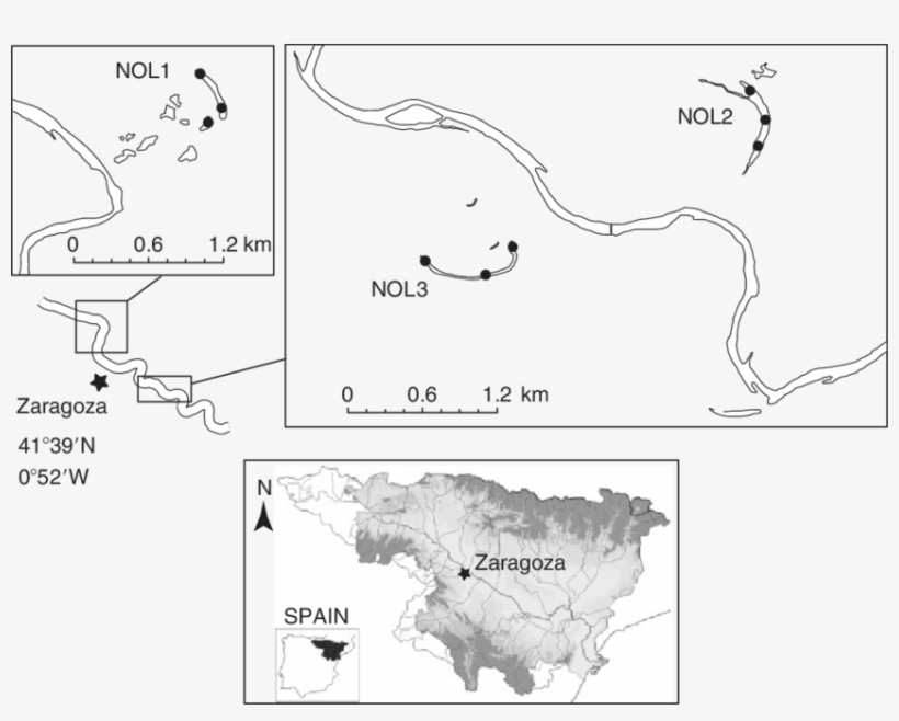 Study Site Locations In The Floodplain Of The Ebro - Spain, transparent png #6416632