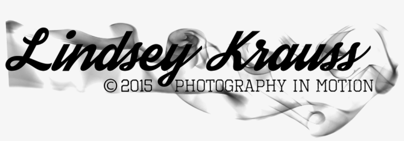 Photography In Motion Based Out Of Orange County, Ny, transparent png #6417767