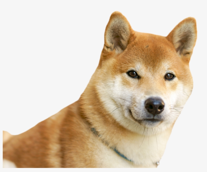 File History - Photography, transparent png #6419335