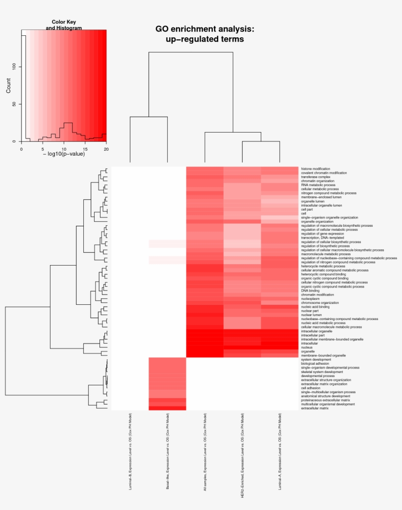 Go Significance Heatmap, transparent png #6419768