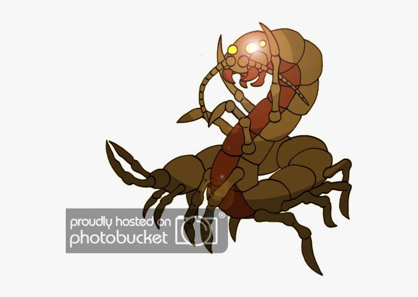 Photo Centipede 002 - Photograph, transparent png #6420448