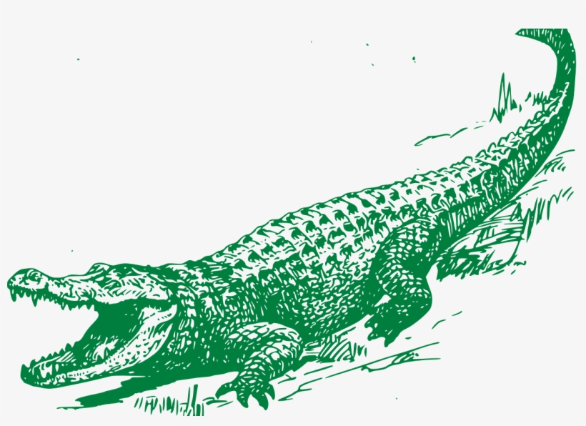Clip Art With Transparent Background - Crocodile Black And White, transparent png #6421811