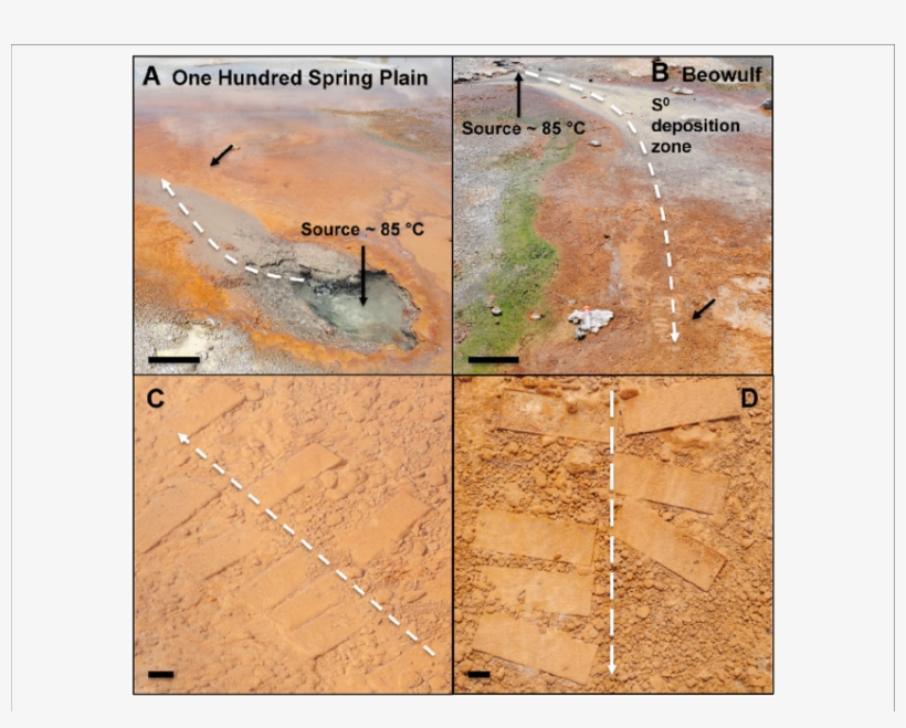 Photographs Of One Hundred Spring Plain And Beowulf - Yellowstone National Park, transparent png #6423006