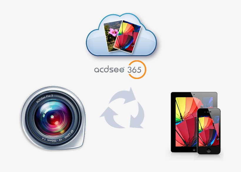 Acdsee pro for mac
