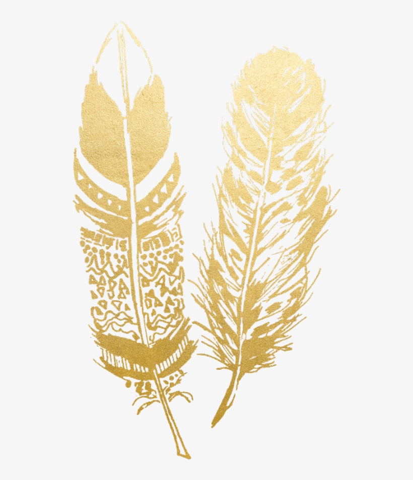 Gold Feather Feathers Native Boho Pretty Decals Decor - Gold Feather Png, transparent png #6425732