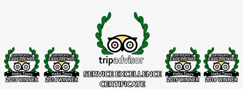Trip Advisor Award Haku Tours - Listerine Total Care Anticavity Mouthwash Cinnamint, transparent png #6426524
