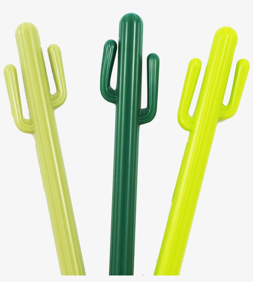 Bolis Cactus - Cactus, transparent png #6428612