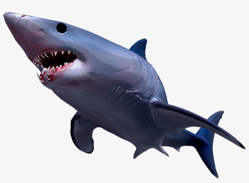 Mako Shark - Hungry Shark Evolution, transparent png #6428892