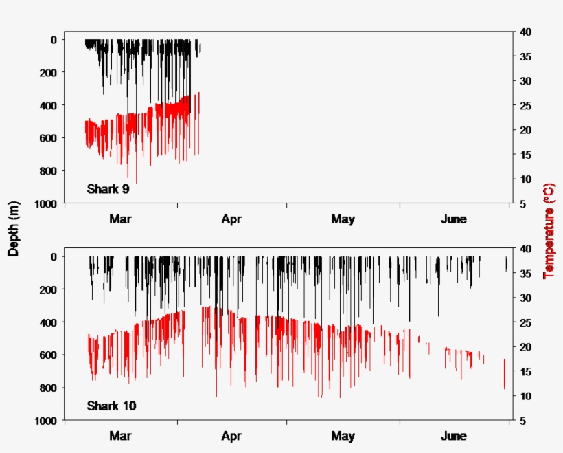 Depth And Temperature (red) Profiles For Two Mako Sharks - Plot, transparent png #6429108
