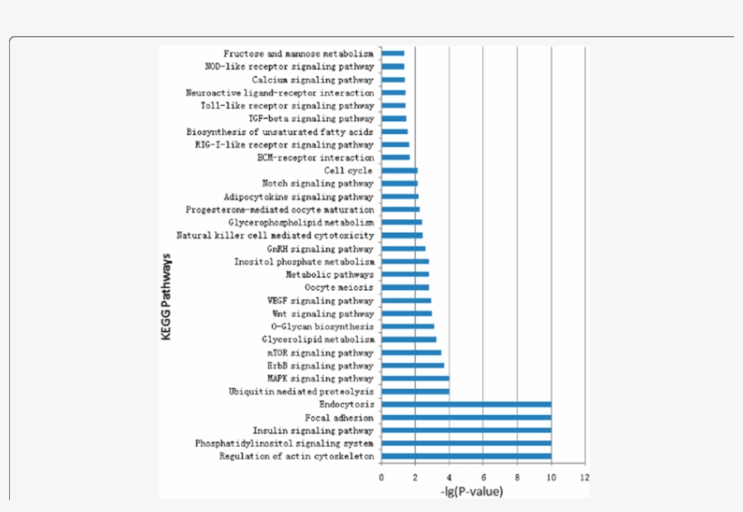 Kegg Orthology Analysis Of The Most Abundant Mirnas, transparent png #6429545
