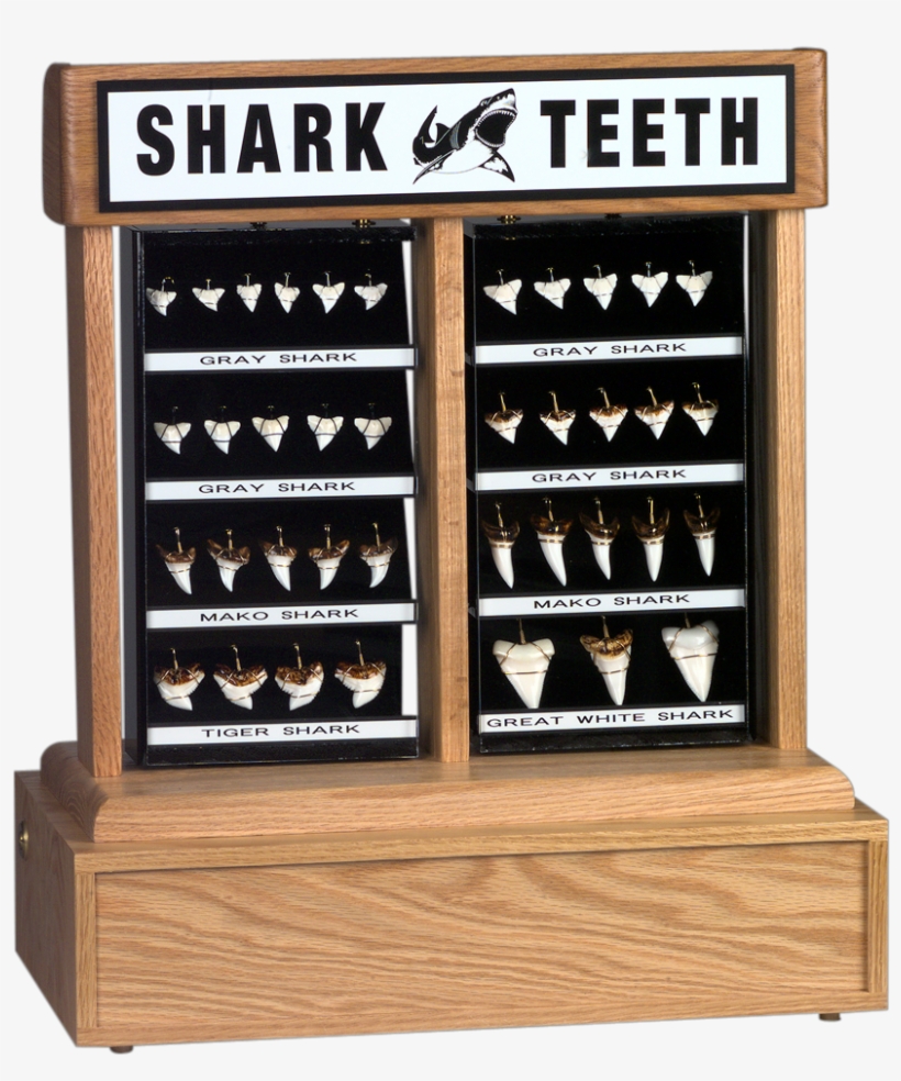 Kit 3a - Display Case, transparent png #6429721