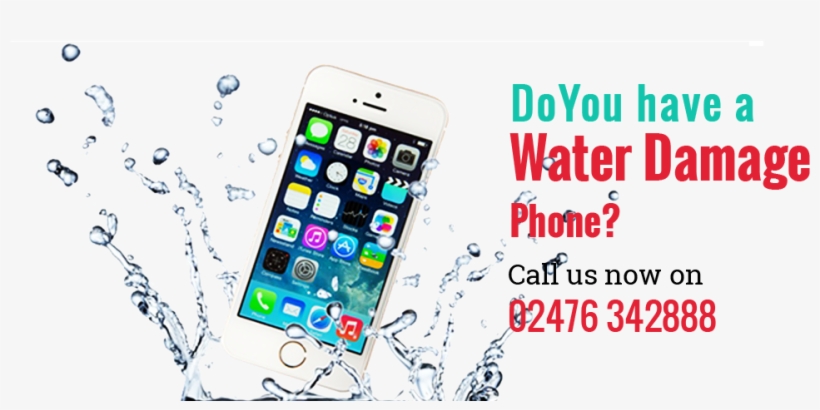 Grand Teton National Park, Mount Moran, transparent png #6430397