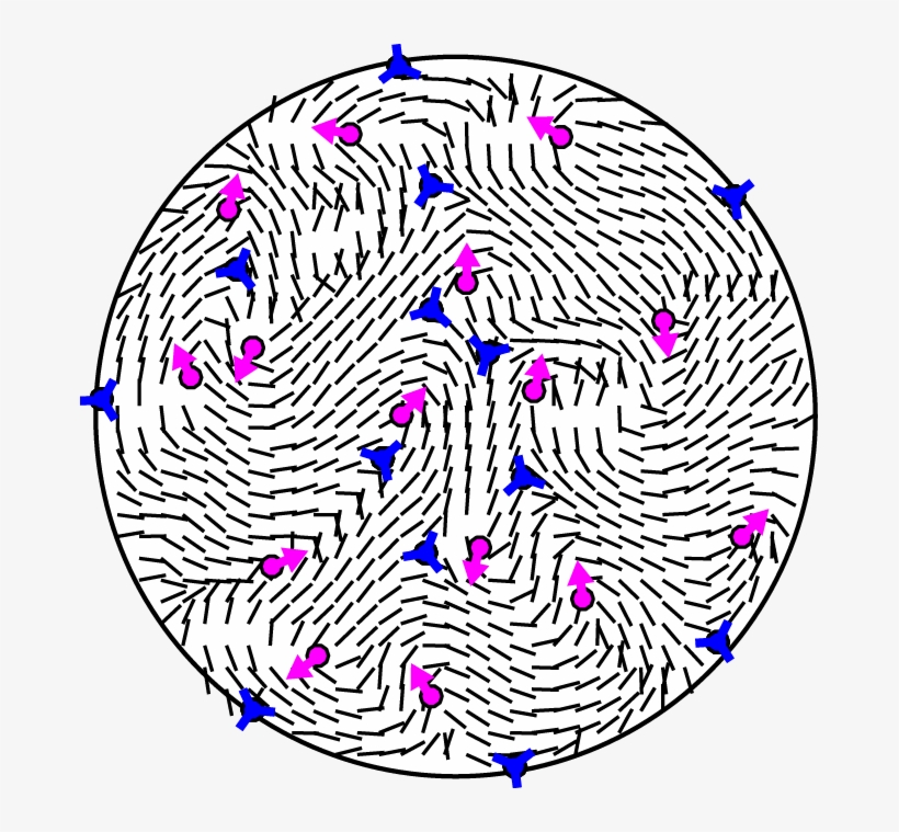 Activenematic Turb - Circle, transparent png #6432526