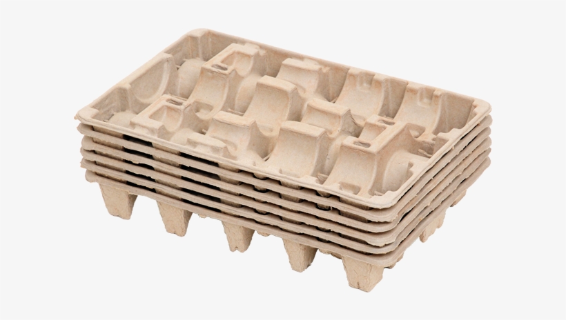 Molded Pulp Trays To Hold 3 Bottle In Each Tray - Tray, transparent png #6433534