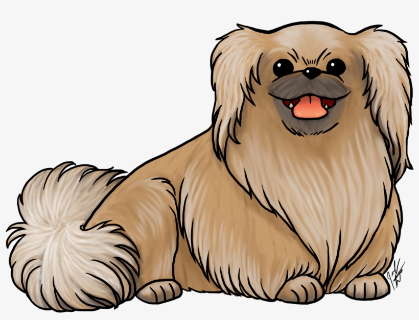 Breed Of The Month Is The Pekingese Check Out All The - Dog Breed, transparent png #6434572
