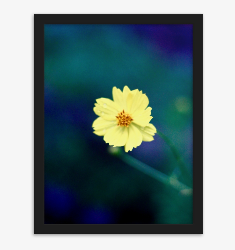 Load Image Into Gallery Viewer, Yellow Flower Art Photo, transparent png #6434628