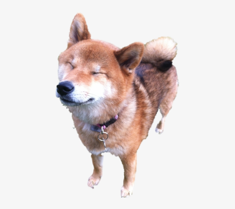 Supershibe, transparent png #6434870