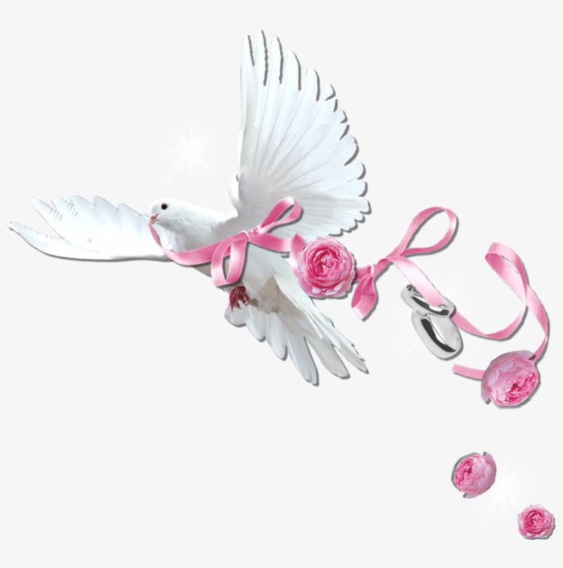 Cheyokota Digital Scraps - Wedding Scraps Png, transparent png #6436273