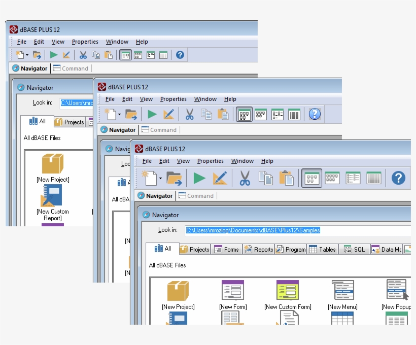 We Updated The Look & Feel Of Dbase™ Plus 12 When Building - Look And Feel, transparent png #6437314