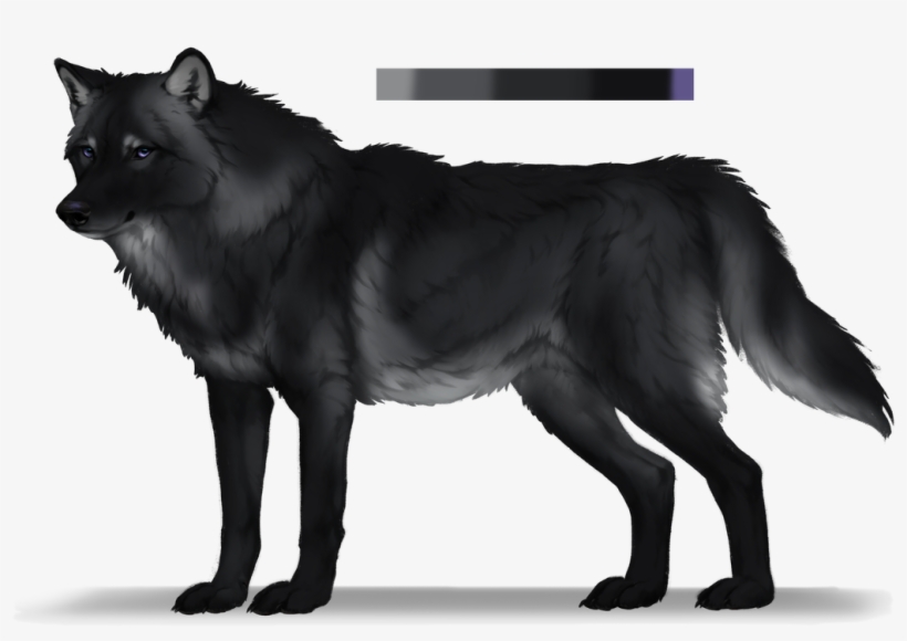 For Dead Anyway - Schipperke, transparent png #6438626