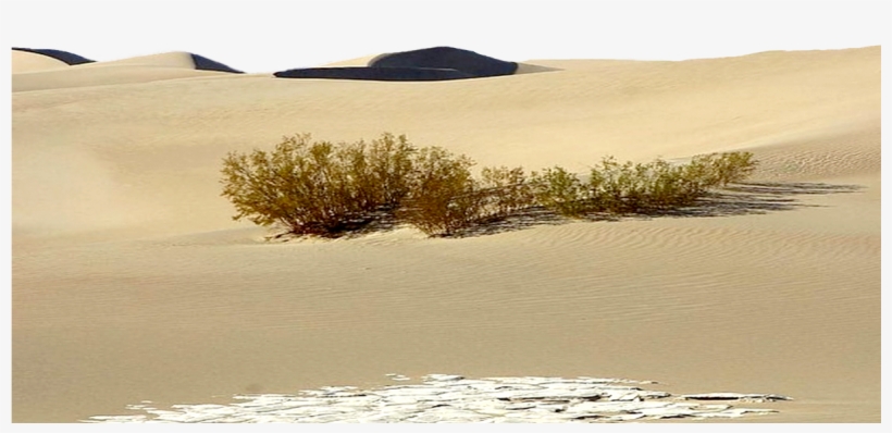 Base De Sable 2 - Erg, transparent png #6439104