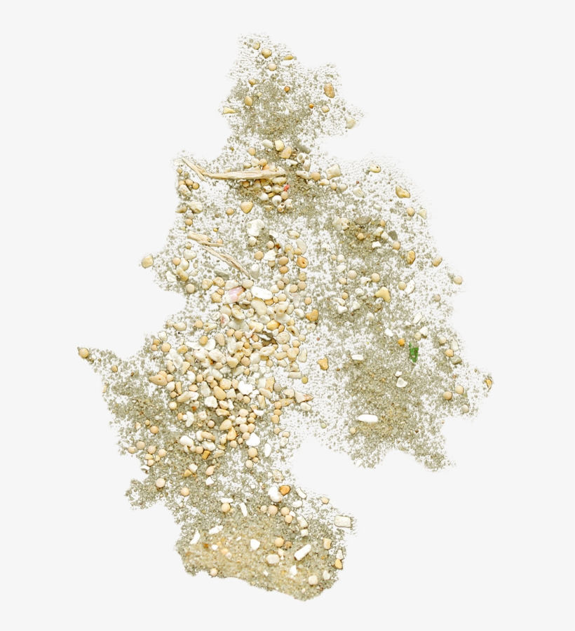 Beach, transparent png #6440286