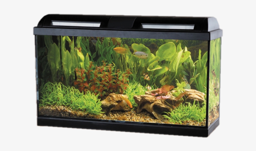 Acuario Fluval Marina Style - Marina Style 35 Tropical Aquarium Set 35 Litres, transparent png #6441588
