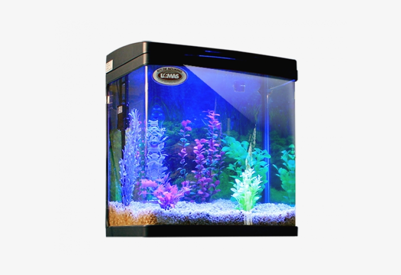 Kit De Acuario Rectangular Negro - Articulos Para Peces, transparent png #6442377