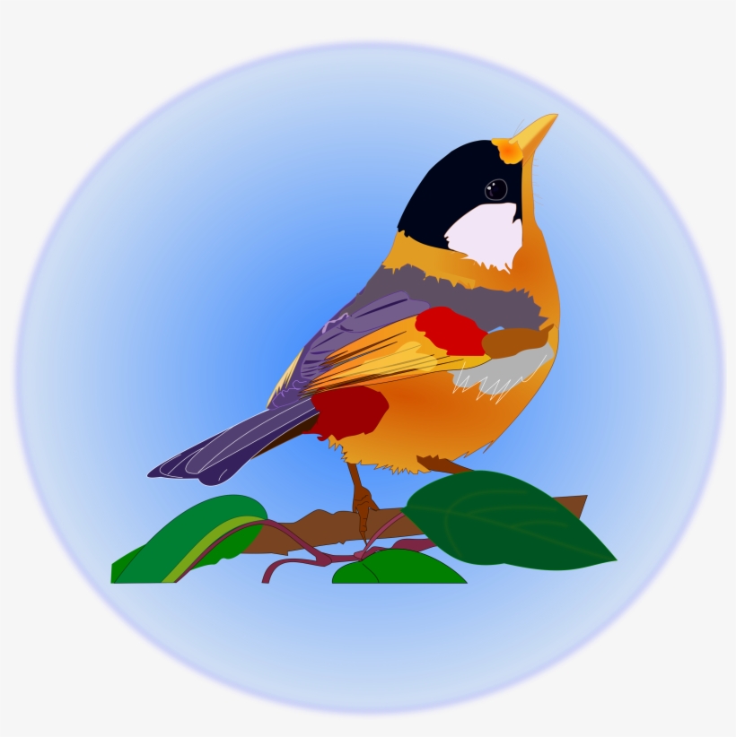 Clipart P Ssaro Multicolor Big Image Png - Clip Art, transparent png #6442606