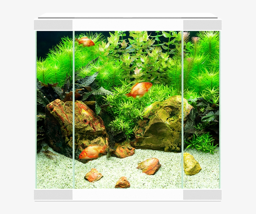 Collection Only - Ciano Aquarium Black 25 Litre, transparent png #6442784