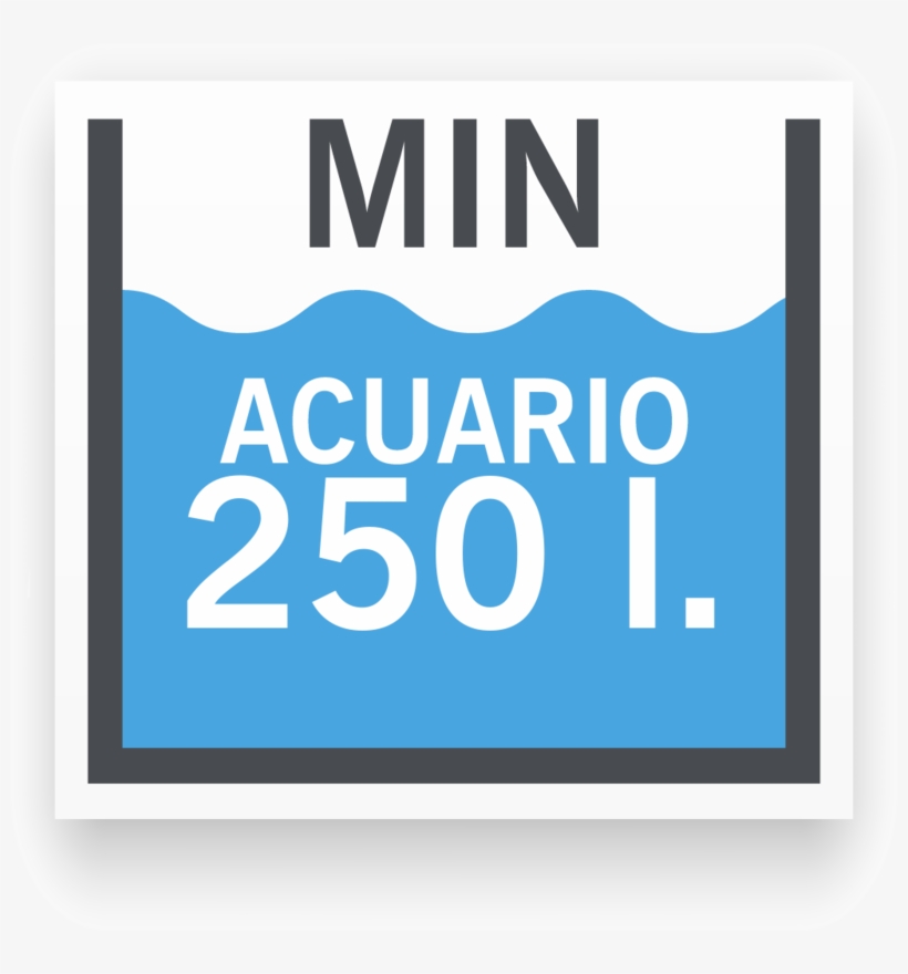 Tamaño De Acuario Mínimo Para Chaetodon Collare - Sat Kurier, transparent png #6442848