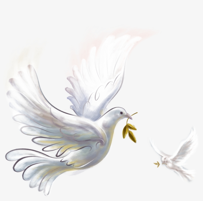 Pigeon Png, transparent png #6444202