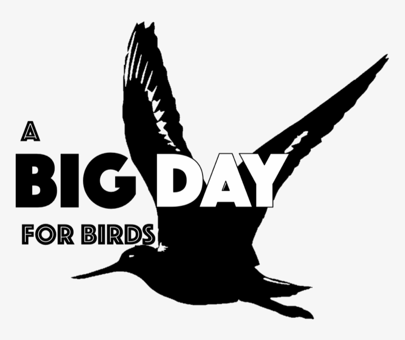 Big Day 2016 Logo Crop - Logo, transparent png #6444250