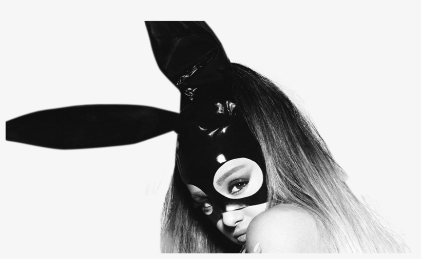 Cropped 6 2, transparent png #6444656