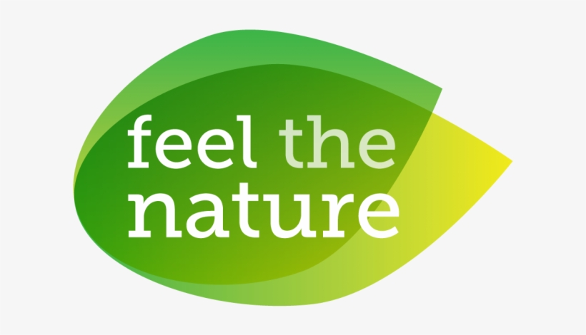 Conquer Fear Is The Beginning Of Wisdom, transparent png #6445043