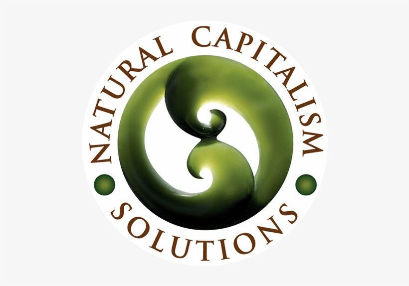 Natural Capitalism Solutions Natural Capitalism Solutions - Korean War Army Logo, transparent png #6445201