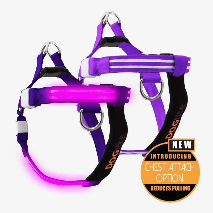 Double Trouble Led Dog Harness - Dog, transparent png #6445312