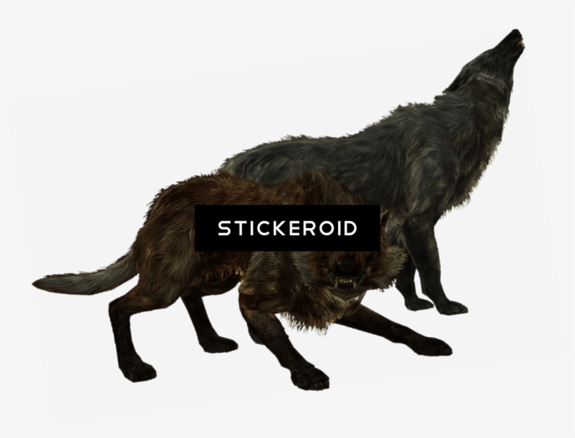 Elder Scrolls Skyrim Wolves - The Elder Scrolls V: Skyrim, transparent png #6445503