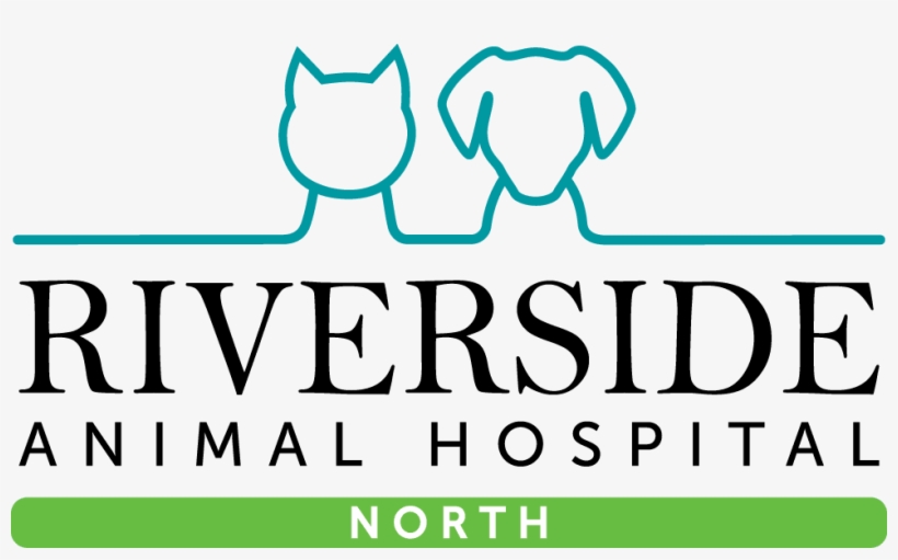 Riverside Animal Hospital North - School Of Science Rk University, transparent png #6447511
