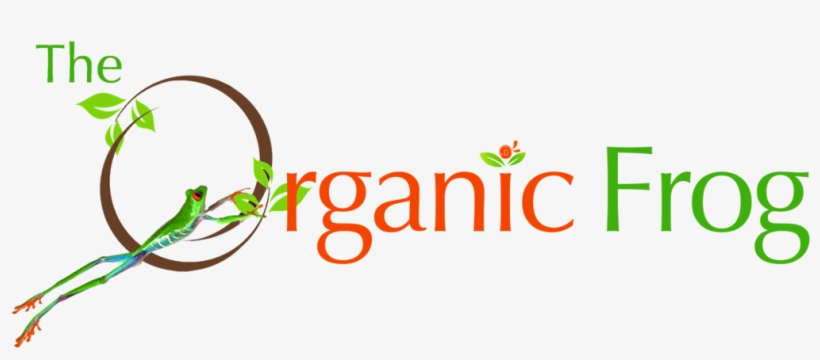 Organic And Gluten Free Products - Red Eyed Tree Frog Jumping Poster, transparent png #6449114