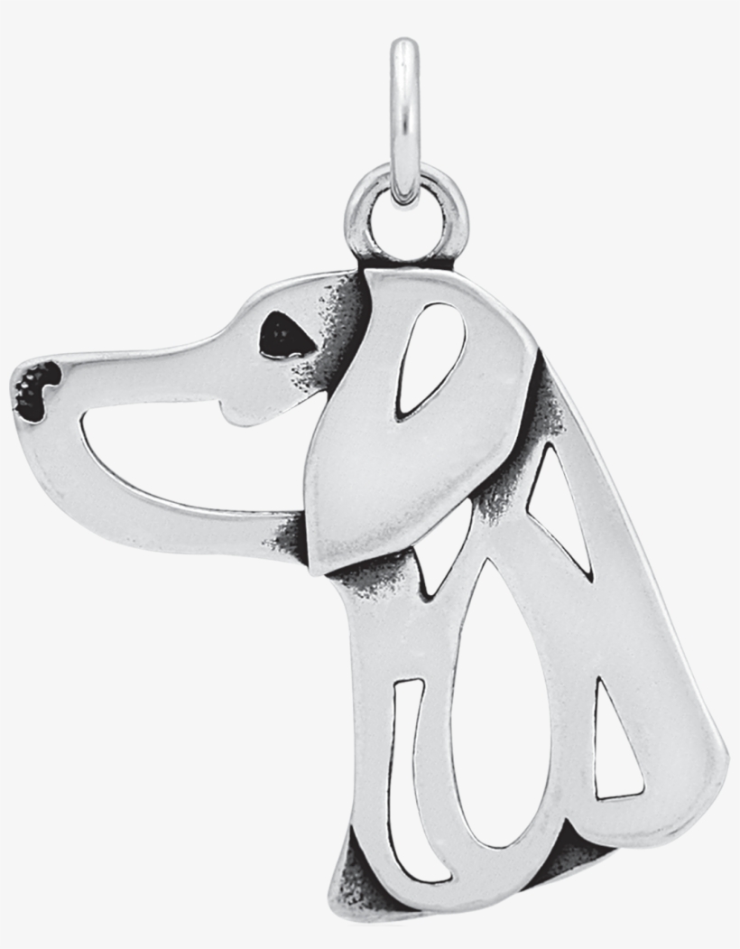 Weimaraner, transparent png #6449117