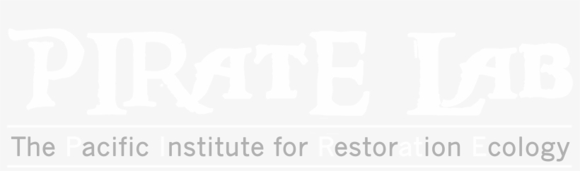 Sean Anderson's Pirate Lab - Illustration, transparent png #6449322