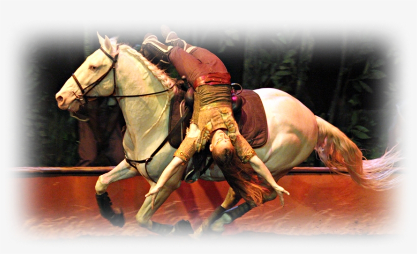 Cavalia Inc, transparent png #6450254